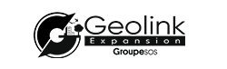 Logo geolink